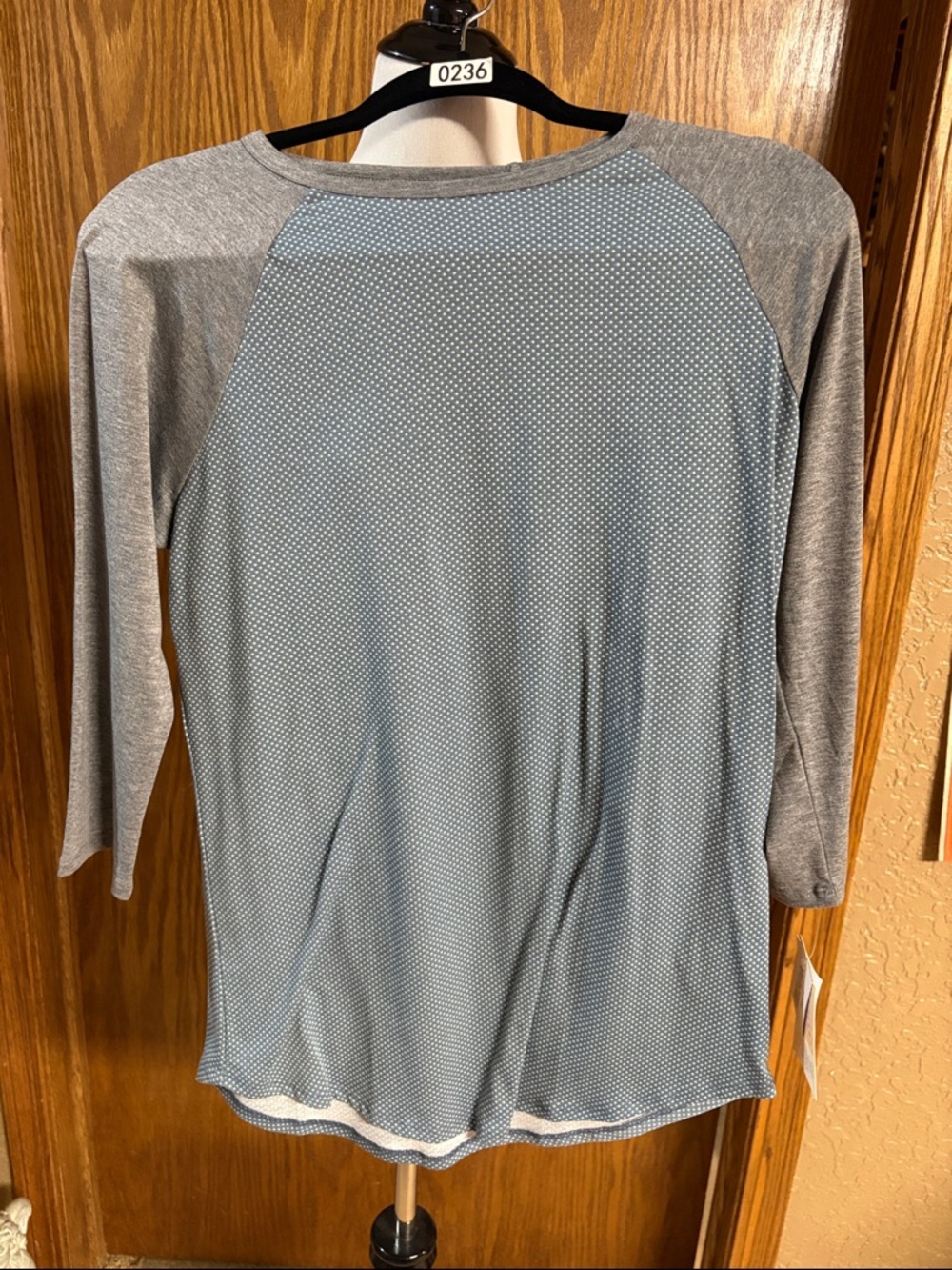 LuLaRoe Light Blue Polka Dot Raglan Tee with Gray Sleeves